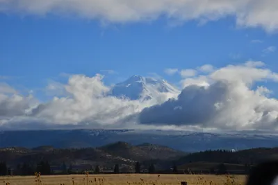 DSC_5887 (Large).JPG